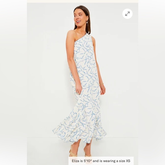 Tuckernuck Dresses & Skirts - HYACINTH HOUSE Tuckernuck Cream & Blue Seaside Sabine Dress Small